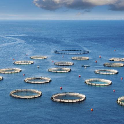 Μέτρα στήριξης για αλιεία και υδατοκαλλιέργεια 