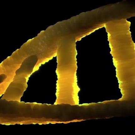 Δημοσιεύτηκε το πρώτο πλήρες ανθρώπινο γονιδίωμα 