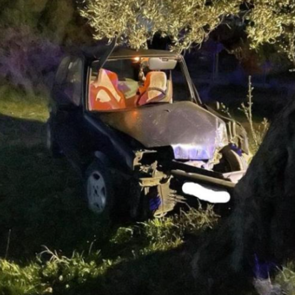 τροχαίο ελιά