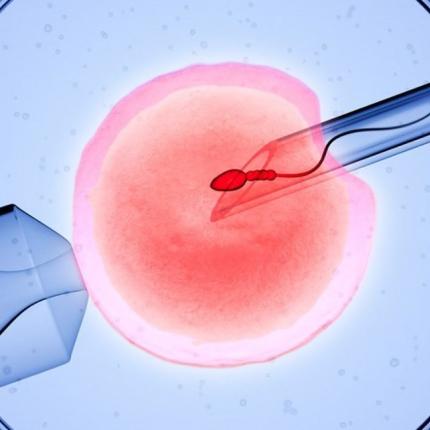 εξωσωματική