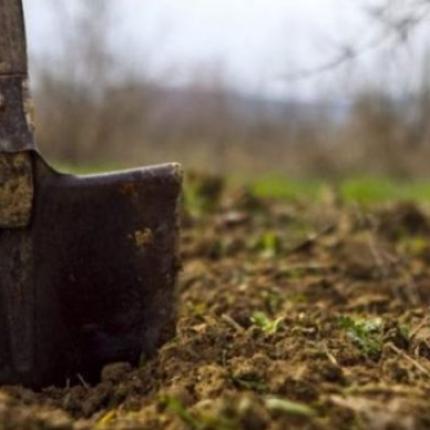 κλοπή χωράφι