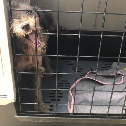 Το γύρο του κόσμου κάνουν οι φωτογραφίες