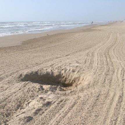 άμμος - παραλία