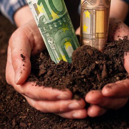 Επιδοτήσεις