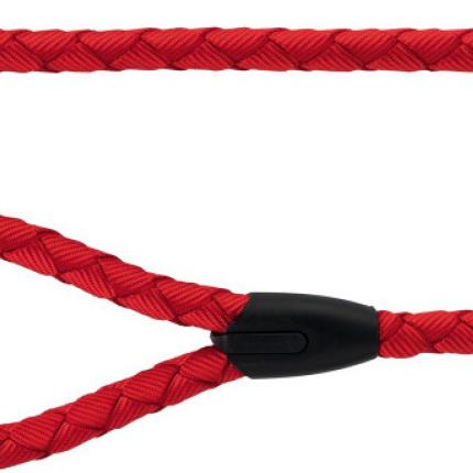 λουρί σκύλου