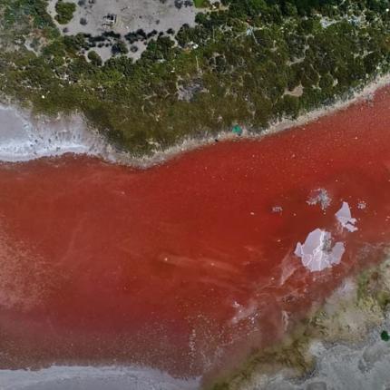 νησί Μετώπη