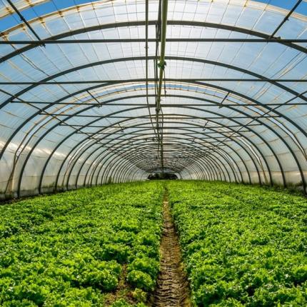 ΘΕΡΜΟΚΗΠΙΟ