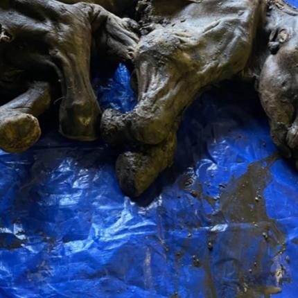 Μωρό Μαμούθ