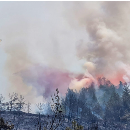 μαρμαρίδα φωτιά