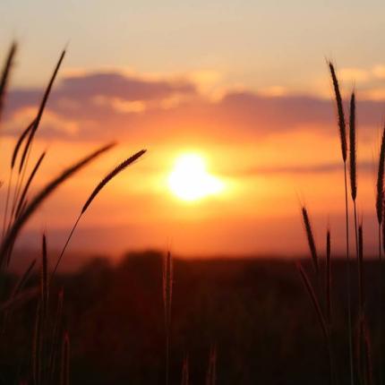 Το αυριανό θερινό ηλιοστάσιο σηματοδοτεί την πρώτη μέρα του καλοκαιριού 