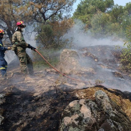 φωτιά δαδιά