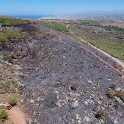Η καμένη έκταση στο δάσος της Κέρης ...από ψηλά