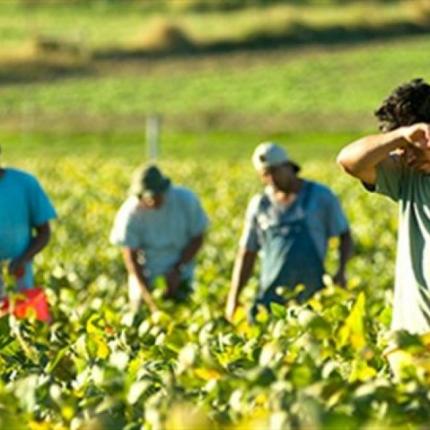 εργάτες γης