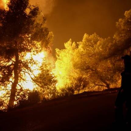 ΦΩΤΙΑ ΜΕΓΑΛΟΠΟΛΗ
