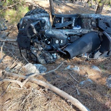 γουρούνα ρόδος