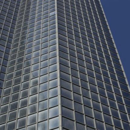 γαλλος ορειβατης