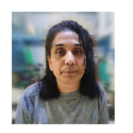 εξαφάνιση νικολίνα