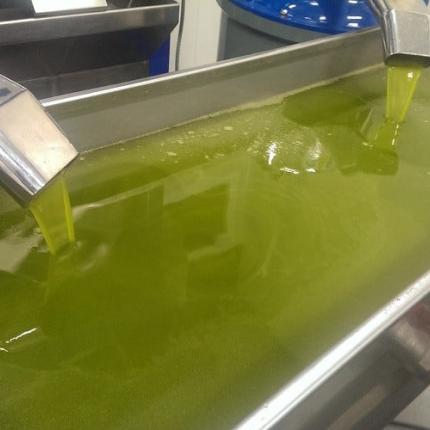 ελαιουργείο