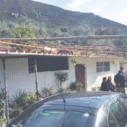 Σφηνάρι Χανίων