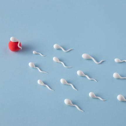 ΔΩΡΗΤΕς ΣΠΕΡΜΑΤΟς