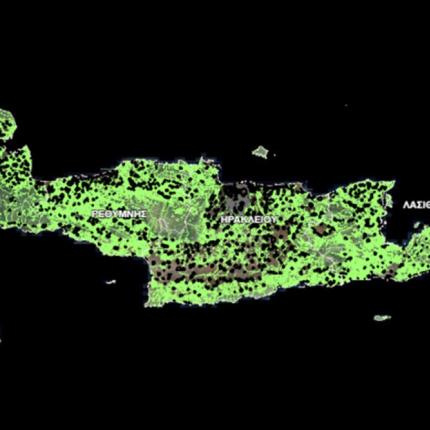 δασικοι χαρτες