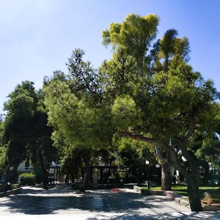 αστικο πρασινο