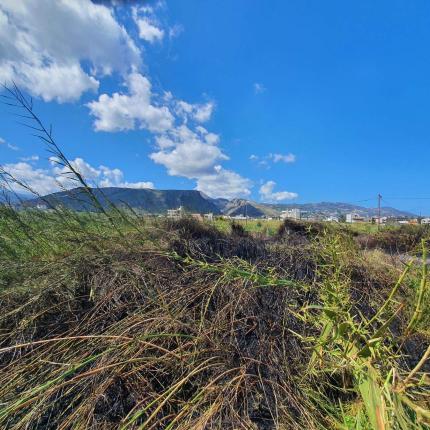 ¨καύση υπολειμμάτων καλλιεργειών