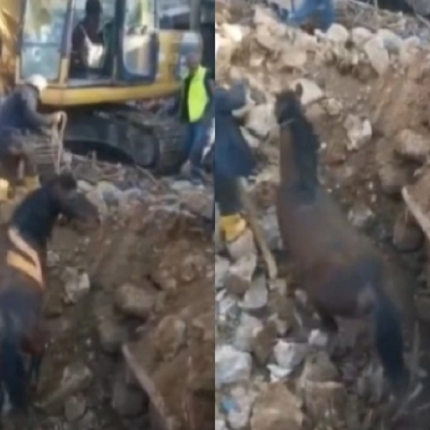 σεισμός Τουρκία