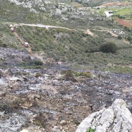 φωτια Στρουμπουλας