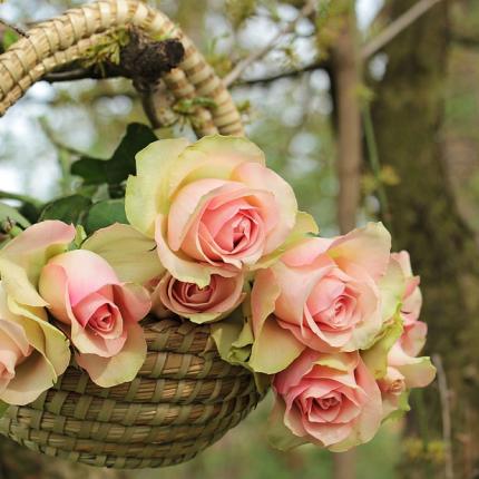 λουλούδια γιορτή