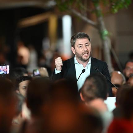 Νίκος Ανδρουλάκης