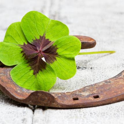 καλή τύχη καλοτυχία