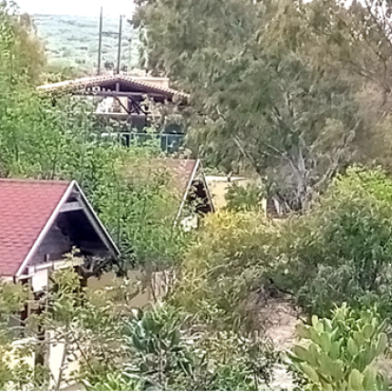 κατασκηνωση ιακ