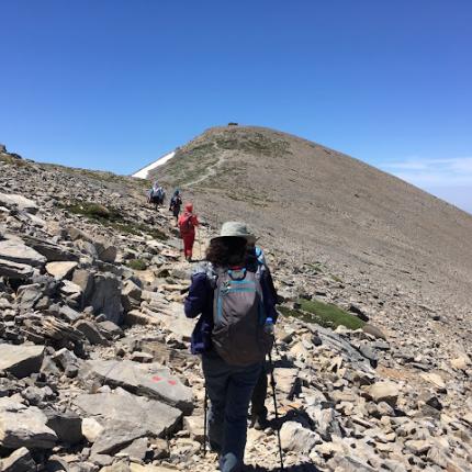 ΨΗΛΟΡΕΊΤΗς