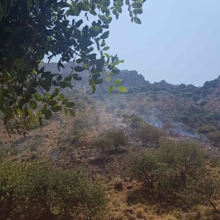 φωτιά φαράγγι αλμυρού