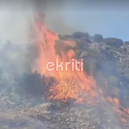 Μάχη των πυροσβεστών για να σωθούν καλλιέργειες και περιουσίες