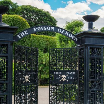 the poison garden