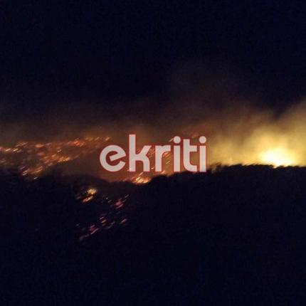 Φωτιά στην Βασιλική