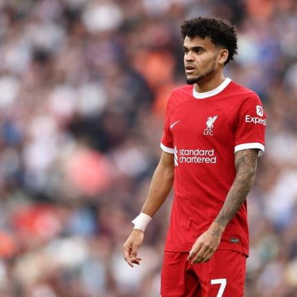 ΛΟΥΙΣ ΝΤΙΑΖ