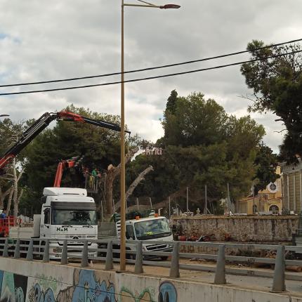 ΚΟΠΗ ΔΕΝΤΡΩΝ ΝΕΚΡΟΤΑΦΕΙΟ ΑΓΙΟΥ ΚΩΝΣΤΑΝΤΙΝΟΥ