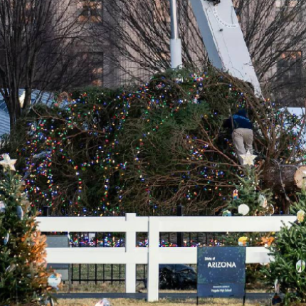 δεντρο Λευκός Οικος