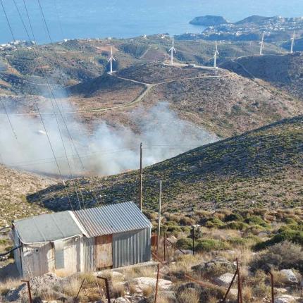 φωτιά βασιλικός