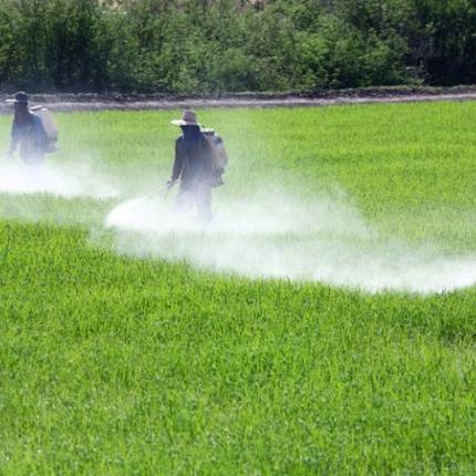 Γλυφοσάτης