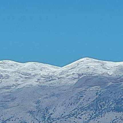 ψηλορείτης