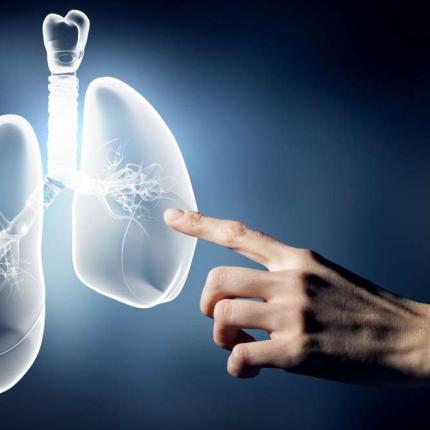 Πνεύμονας