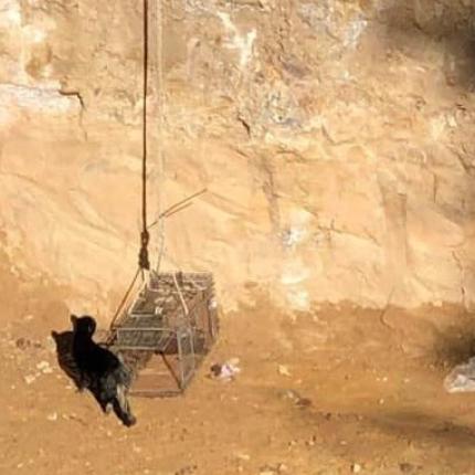 Διάσωση γάτας Παλαιό Φάληρο