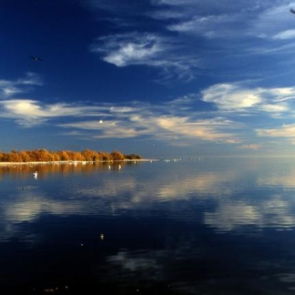 Salton_Sea νερα