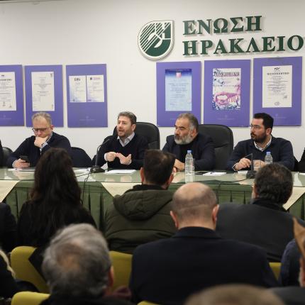 Νίκος Ανδρουλάκης 