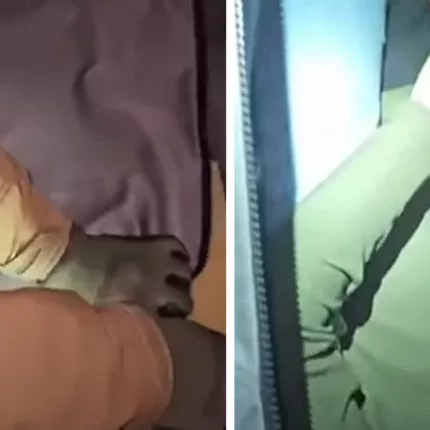 ηγουμενιτσα