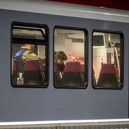 τρένο ελβετία